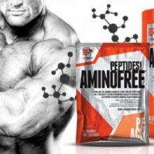 d8a2d985db8cd986d988 d981d8b1db8c d988 d9bed9bed8aadb8cd8afd987d8a7db8c d8a7daa9d8b3d8aad8b1db8cd981db8cd8aa 65a86904a36ef