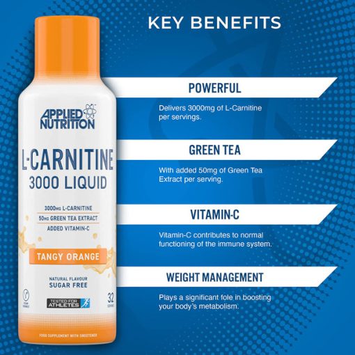 d8a7d984 daa9d8a7d8b1d986db8cd8aadb8cd986 d985d8a7db8cd8b9 d8a7d9bed984d8a7db8cd8af d8afd988d8b2 3000 65a85afcb57d3