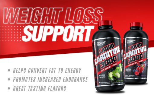 d8a7d984daa9d8a7d8b1d986db8cd8aadb8cd986 d985d8a7db8cd8b9 d986d8a7d8aad8b1daa9d8b3 65a85aba0335c