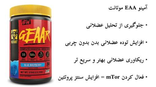 d8a7db8c d8a7db8c d8a7db8c d985d988d8aad8a7d986d8aa mutant geear 65a85e7e620e4 e1706202393305