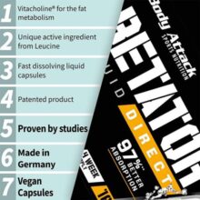 d8a8d8aad8a7d8aad988d8b1 d8a8d8a7d8afdb8c d8a7d8aadaa9 body attack betator 65a85f4504674