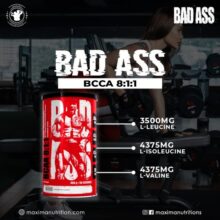 بی سی ای ای بد اس 8:1:1 66853be527642.jpeg