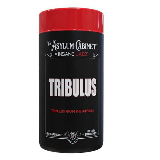 d8aad8b1db8cd8a8d988d984d988d8b3 d8a7db8cd986d8b3db8cd986 d984d8a8d8b2 insane labz tribulus 65a85cb66dd07