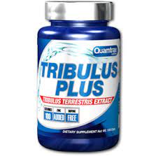 d8aad8b1db8cd8a8d988d984d988d8b3 d9bed984d8a7d8b3 daa9d988d8a7d985d8aad8b1daa9d8b3 65a86316719dd