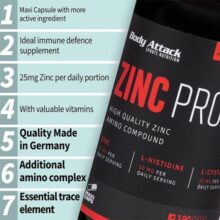 d8b2db8cd986daa9 d9bed8b1d988 d8a8d8a7d8afdb8c d8a7d8aadaa9 body attack zinc pro 65a874ee7aaab