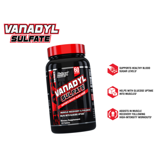 d982d8b1d8b5 d988d8a7d986d8a7d8afdb8cd984 d8b3d988d984d981d8a7d8aa d986d8a7d8aad8b1daa9d8b3 65a85c66b23c6