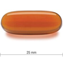 d984d8b3db8cd8aadb8cd986 d8acd985db8cd8b3d988d986 1200 d985db8cd984db8c daafd8b1d985 100 d8b9d8afd8af 65a86f7300fb5