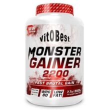 مانستر گینر 2200 ویتو بست 3.500  کیلوگرم