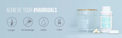 d985d988d984d8aadb8c d988db8cd8aad8a7d985db8cd986 d987db8cd8b1 d8a8d8b1d8b3d8aa 65a85be28e575