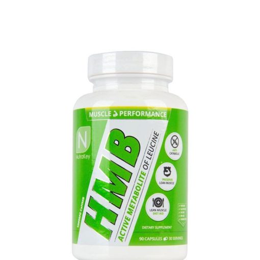 d985daa9d985d984 d8a7da86 d8a7d985 d8a8db8c d986d988d8aad8b1d8a7daa9db8c 65a864a26765b