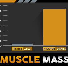 d985daa9d985d984 d8a7db8cdaa9d8b3 d981d8a7daa9d8aad988d8b1 d985d988d984daa9d988d984d8a7d8b1 d986d988d8aad8b1db8cd8b4d986 65a87944e3fac