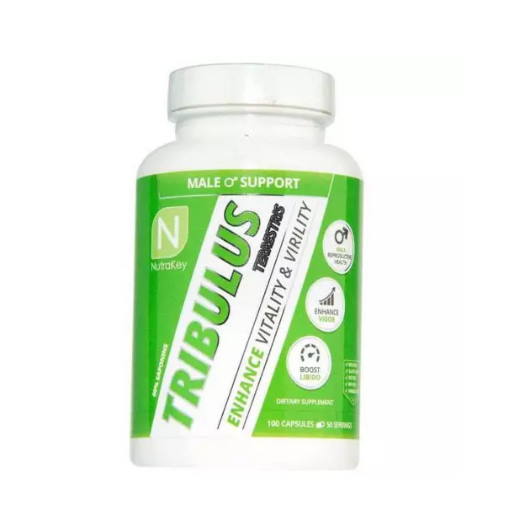 d985daa9d985d984 d8aad8b1db8cd8a8d988d984d988d8b3 d986d988d8aad8b1d8a7daa9db8c 65a860830d90c