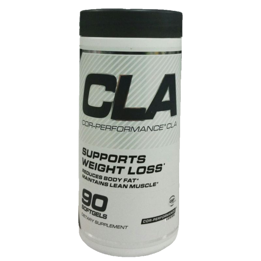 d985daa9d985d984 d8b3db8c d8a7d984 d8a7db8ccla daa9d988d8b1 d9bed8b1d981d988d8b1d985d986d8b3 d8b4d8b1daa9d8aa d8b3d984d988daa9d988d8b1 65a8731951ba8