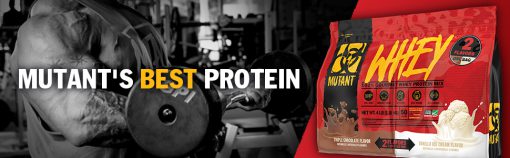 d9bed8b1d988d8aad8a6db8cd986 d988db8c d985d988d8aad8a7d986d8aa 65a85df111699