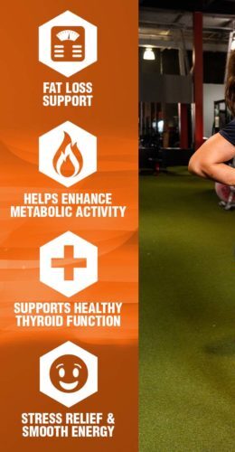 da86d8b1d8a8db8c d8b3d988d8b2 d984db8cd9bed988 6 d986d8a7d8aad8b1daa9d8b3 d8aad8a7db8cd8b1d988d984db8cd986 d8a8d984daa9 65a85da1cb15d e1706205457825