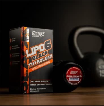 da86d8b1d8a8db8c d8b3d988d8b2 d984db8cd9bed988 6 d986d8a7d8aad8b1daa9d8b3 d8aad8a7db8cd8b1d988d984db8cd986 d8a8d984daa9 65a85da676053