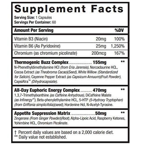 da86d8b1d8a8db8c d8b3d988d8b2 daa9db8cd984d8b1 d8a8db8cd8b2 d987d8a7db8cd9bed8b1 da98d986d8aadb8cdaa9 hyper genetic killer bees 65fb839a386d5