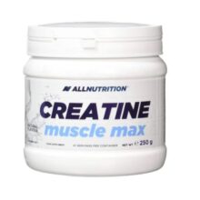 کراتین ماسل مکس آل نوتریشن ALLNUTRITION CREATINE MUSCLE MAX