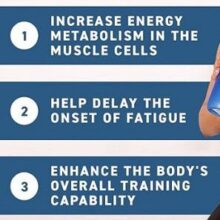 daa9d8b1d8a7d8aadb8cd986 d985d988d986d988d987db8cd8afd8b1d8a7d8aa d8a7d9bed984d8a7db8cd8af 500 daafd8b1d985 applied creatine monohydrate 65a85f950bee4 e1706198948812