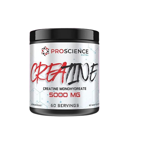 daa9d8b1d8a7d8aadb8cd986 d985d988d986d988d987db8cd8afd8b1d8a7d8aa d9bed8b1d988d8b3d8a7db8cd986d8b3 proscience creatine monohydrate 65a85d831d5fb