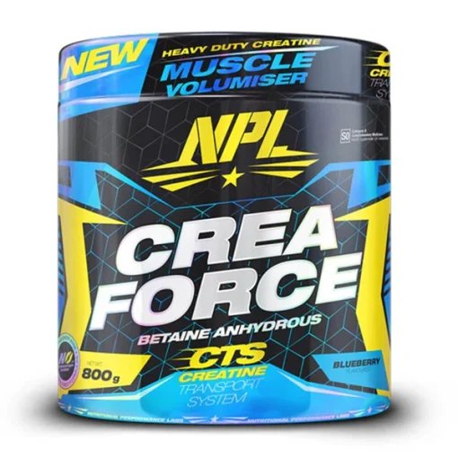 daa9d8b1d8a7d8aadb8cd986 daa9d8b1d8a7 d981d988d8b1d8b3 d8a7d986 d9bedb8c d8a7d984 npl crea force 65a860ca5a177