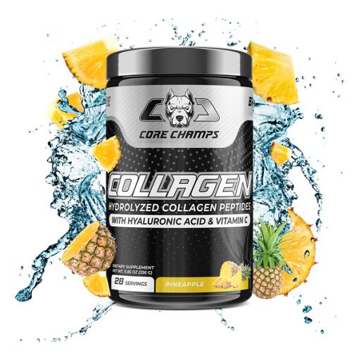 daa9d984d8a7da98d986 daa9d988d8b1 da86d985d9bed8b3 core champs collagen 65a85ceacb322