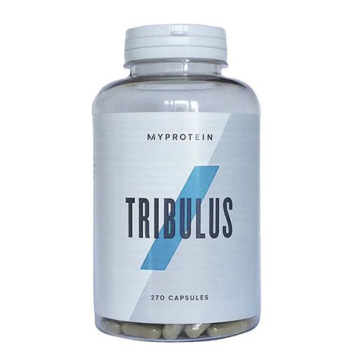 daa9d9bed8b3d988d984 d8aad8b1db8cd8a8d988d984d988d8b3 d985d8a7db8c d9bed8b1d988d8aad8a6db8cd986 270 d8b9d8afd8afdb8c 65a85f8f267ad