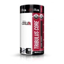 daa9d9bed8b3d988d984 d8aad8b1db8cd8a8d988d984d988d8b3 d9bed8b1d988 d8b3d984 daa9d988d8b1 65a860fc17d94