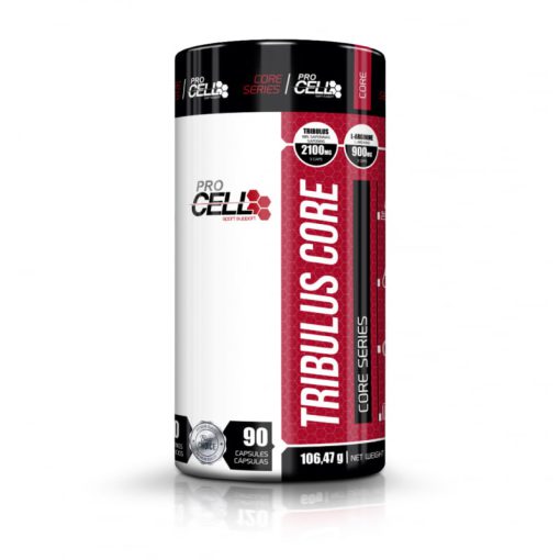 daa9d9bed8b3d988d984 d8aad8b1db8cd8a8d988d984d988d8b3 d9bed8b1d988 d8b3d984 daa9d988d8b1 65a860fc17d94