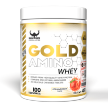گلد آمینو وی وایکینگ VIKING GOLD AMINO WHEY